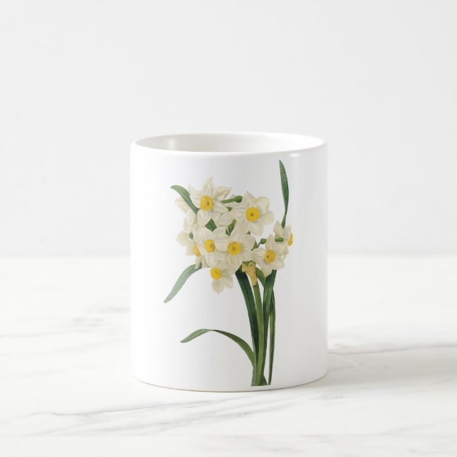 Taza De Café narciso (tazetta del narciso) por Redouté (Centro)