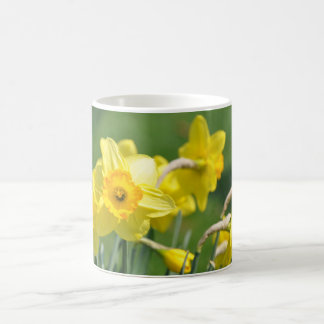 Taza De Café Narcisos
