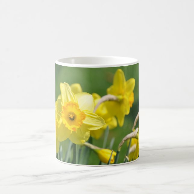 Taza De Café Narcisos (Centro)