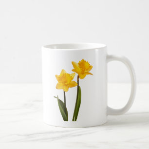 Taza De Café Narcisos amarillos de la primavera en blanco