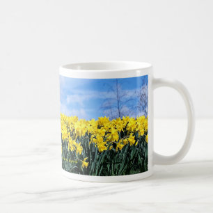Taza De Café Narcisos de la primavera, Shrewsbury, Shropshire,