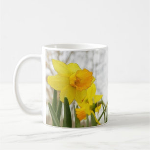Taza De Café Narcisos Sunlit