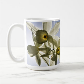 Taza De Café Narcissen die bloeien met een lente blauwe lucht 
