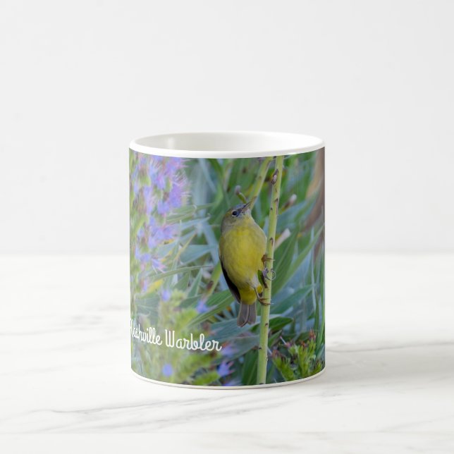Taza De Café Nashville Warbler (Centro)