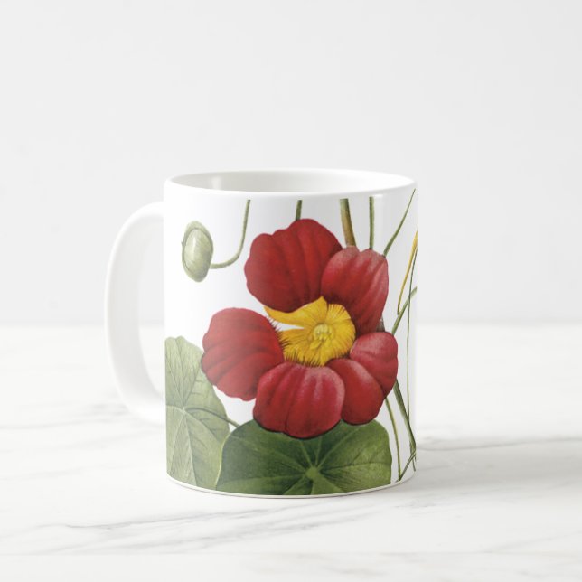 Taza De Café nasturcio (Tropaeolum majus) de Redouté (Anverso izquierdo)