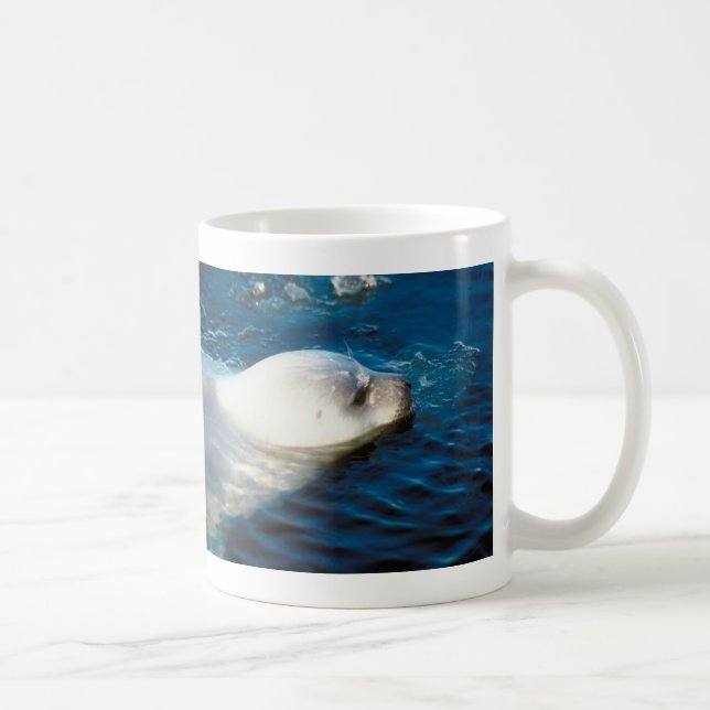 Taza De Café Natación del sello (Derecha)