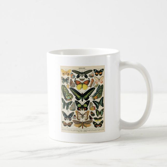 Taza De Café Natural History Butterfly (Derecha)