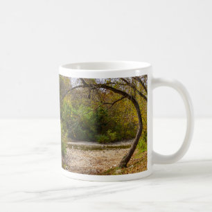 Taza De Café Naturas Círculo Café Mug