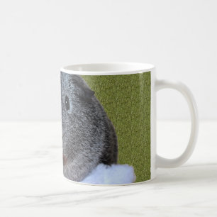 Taza De Café Navidades de cerdo de Guinea