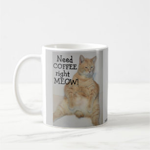 Taza De Café ¡Necesito Café, ay! Un gato gordo que está sent