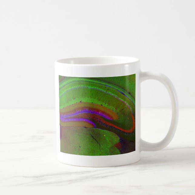 Taza De Café Neuronas de Hippocampal (Derecha)