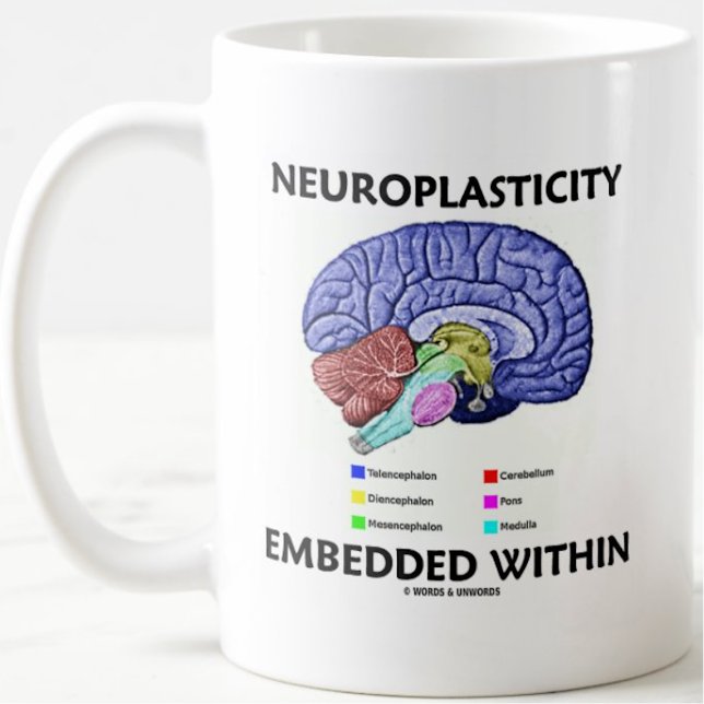 Taza De Café Neuroplasticidad incorporada en la anatomía cerebr (Brainy mug for anyone who learns a lot and in different ways w/ "Neuroplasticity Embedded Within")