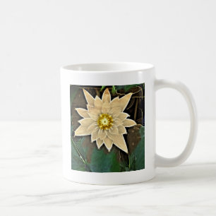 Taza De Café New Age Zen Buddhism Yoga Namaste White Lotus