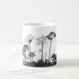 Taza De Café Nido de Águila en St Marks