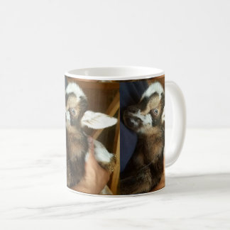 Taza De Café Niño enano nigeriano lindo de la cabra