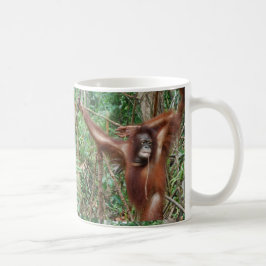 Taza De Café No me odies por ser bello y gracioso orangután