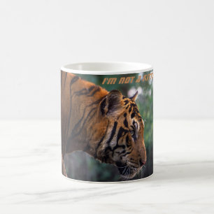 Taza De Café No soy un gatito. Arma - el tigre