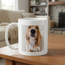 Nombre de letra elegante Cachorro Perro Gato Masco