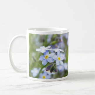 Taza De Café Nomeolvides de jardín