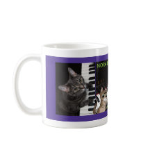 Nora El Gato Del Piano