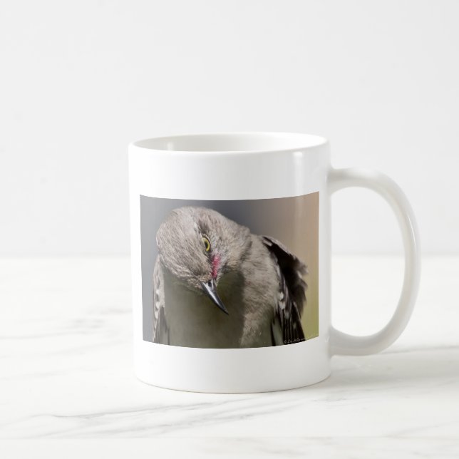 Taza De Café Northern Mockingbird toma ropa de vaca y regalos (Derecha)