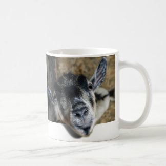 Taza De Café Nosy Goat mirando hacia afuera