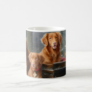 Taza De Café Nova Scotia Duck Toller Retriever Trineo Nevado
