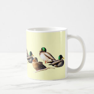 Taza De Café Nueve patanes Mallard