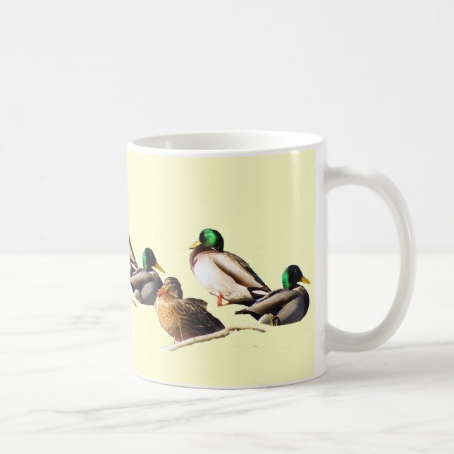 Taza De Café Nueve patanes Mallard (Derecha)