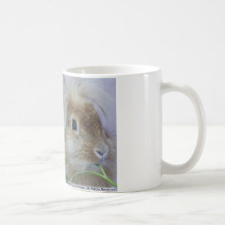 Taza De Café ¡Nunca un mún día del pelo!
