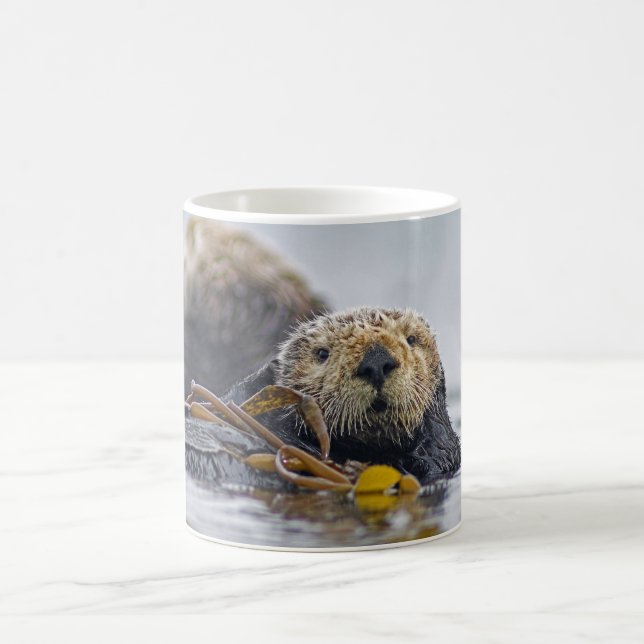 Taza De Café Nutria de mar de California (Centro)