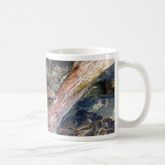 Taza De Café Nutria juguetona