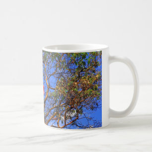 Taza De Café O Canadá - Mug