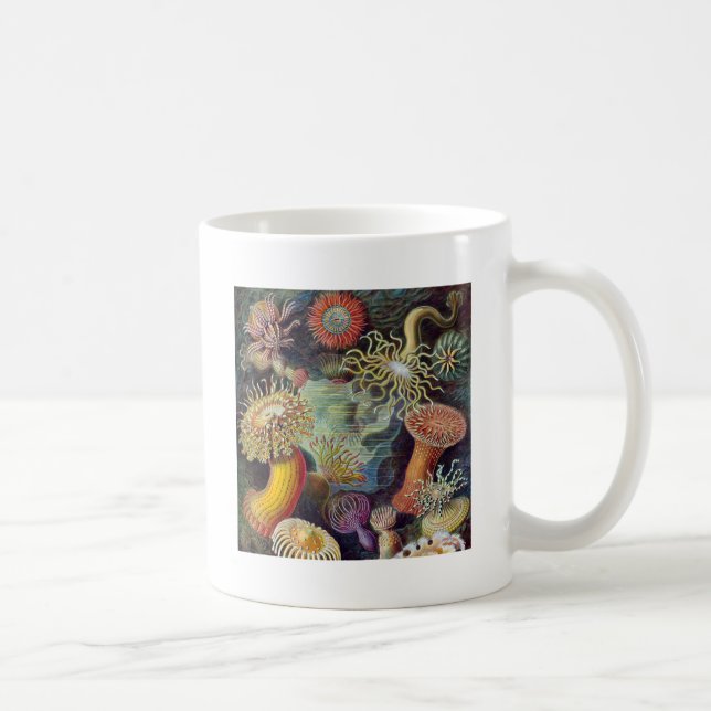Taza De Café Océano marino Anemone Científico (Derecha)