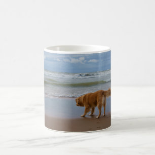 Taza De Café Océano tocante del perro perdiguero del pato de