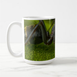 Taza De Café Ocupada hormiga negra en una hoja verde