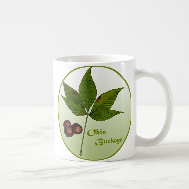 Taza De Café Ohio Buckeye Tree (Derecha)