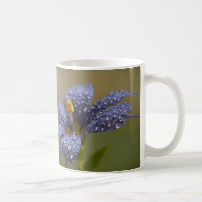 Taza De Café Ojos Azules Llenos de Rocío (Derecha)