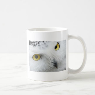Taza De Café Ojos de búho de nieve