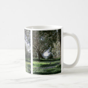 Taza De Café Olive Groves Mug