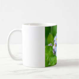 Taza De Café Olvídenme, Mug