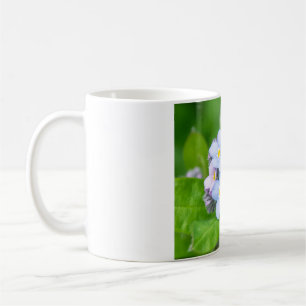 Taza De Café Olvídenme, Mug