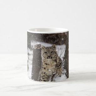 Taza De Café Onza Cub