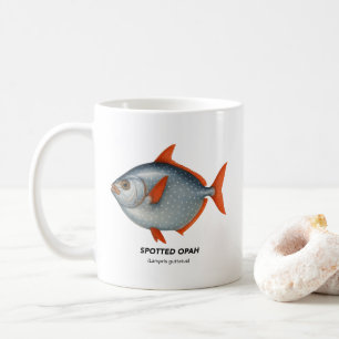 Taza De Café Opah visto - Animales marinos de California