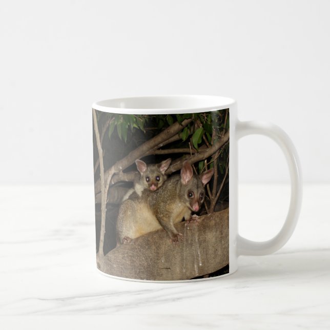 Taza De Café Oposums de Brushtail (Derecha)