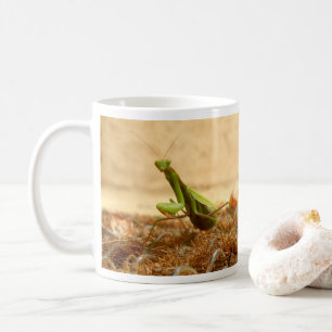 Taza De Café Orando Mantis Bug Mug