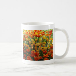 Taza De Café Orange-&-Yelow-Tulips.jpg
