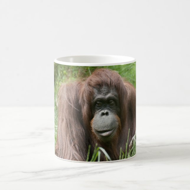 Taza De Café Orangutan (Centro)
