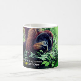 Taza De Café Orangutan relajándose en el árbol