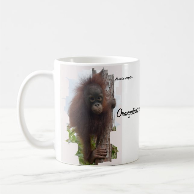 Taza De Café Orangutanes en Borneo Coffee Mug (Izquierda)